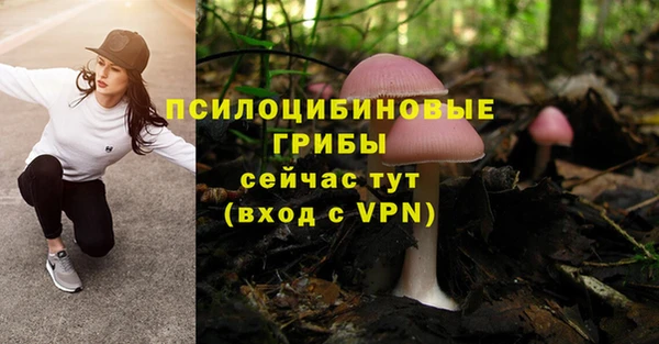 мескалин Богданович