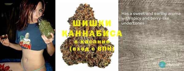 MDMA Богородицк