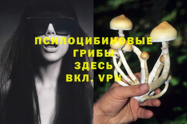MDMA Богородицк